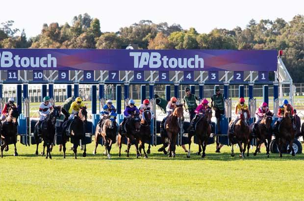 Ascot-barriers.jpg