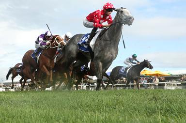 Country Racing15 
