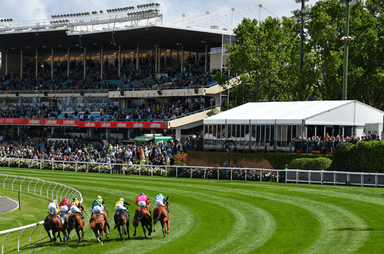 Cox Plate-Moonee-Valley 