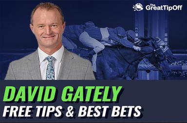 Gator FreeTips 