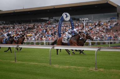 Gosford Track 