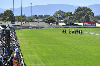 Morphettville Track 