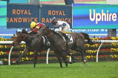 Randwick Finish-Wet 