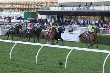 Randwick Rail 
