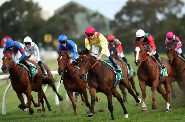 Randwick-chad-schofield.jpg