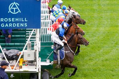 Rosehill Barrier-Jumpout 