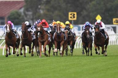 Rosehill Fron On 