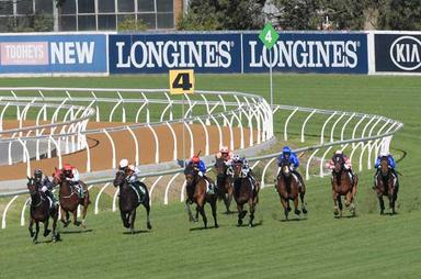 Rosehill Turn 