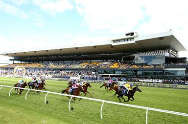 Rosehill full-grandstand 