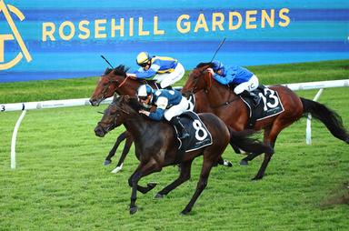 Rosehill large-sign 