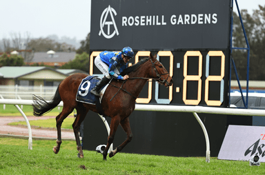 Rosehill time 