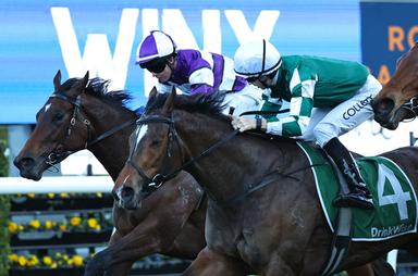 Winx Stakes 