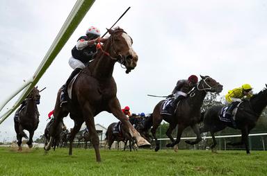 country racing13 