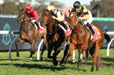 rosehill jostle 