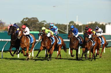 rosehill leaders 