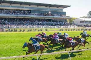 Asco Racecourse 