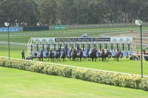 Bendigo Barriers-260321 