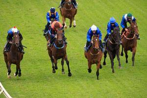 Canterbury trials 