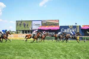 Caulfield Big-Screen 