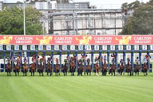 Caulfield Cup-Barrier 