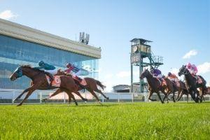 Caulfield Ground 