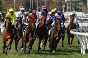 Caulfield Turn 