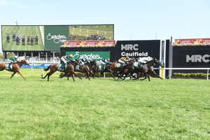 Caulfield side-screen 