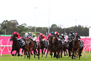 Coolmore Classic 