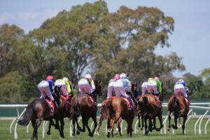 Country Racing2 