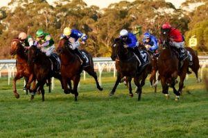 Country Racing4 