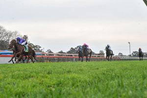 Country Racing7 