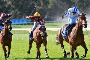 Country RacingVIC 