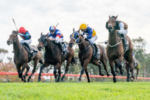 Country RacingVIC7 