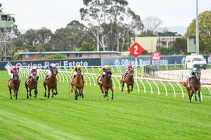 Cranbourne straight 