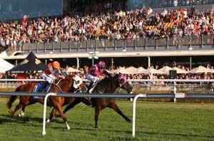 Doomben Crowd 
