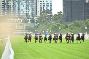 Flemington Straigh light 