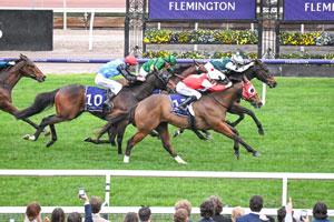 Flemington low-shot 