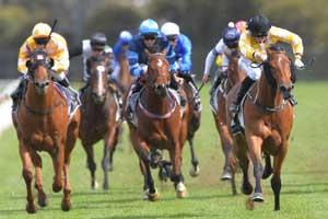 Fron On Racing 