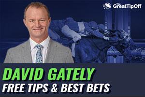 Gator FreeTips 