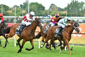 Generic Horse-Racing.Jpg