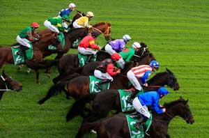 Generic Horses6 