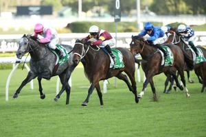 Gosford Finish 