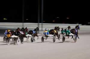Harness Racing10 