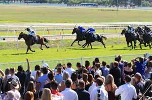 Hawkesbury Finish 