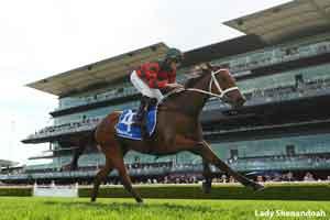 Lady Shenandoah 