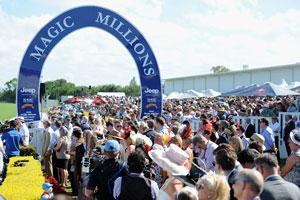 Magic Millions-Crowd 