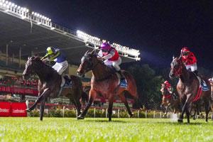 Moonee Valley-Nigh Stand 