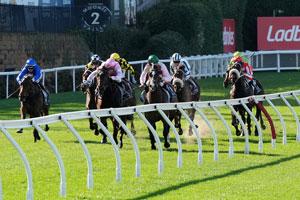 Moonee Valley-arc 