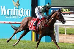Mornington Racetrack 