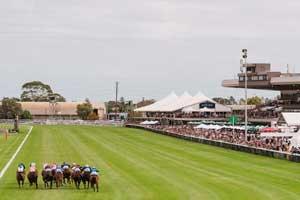 Morphettville back-straight 